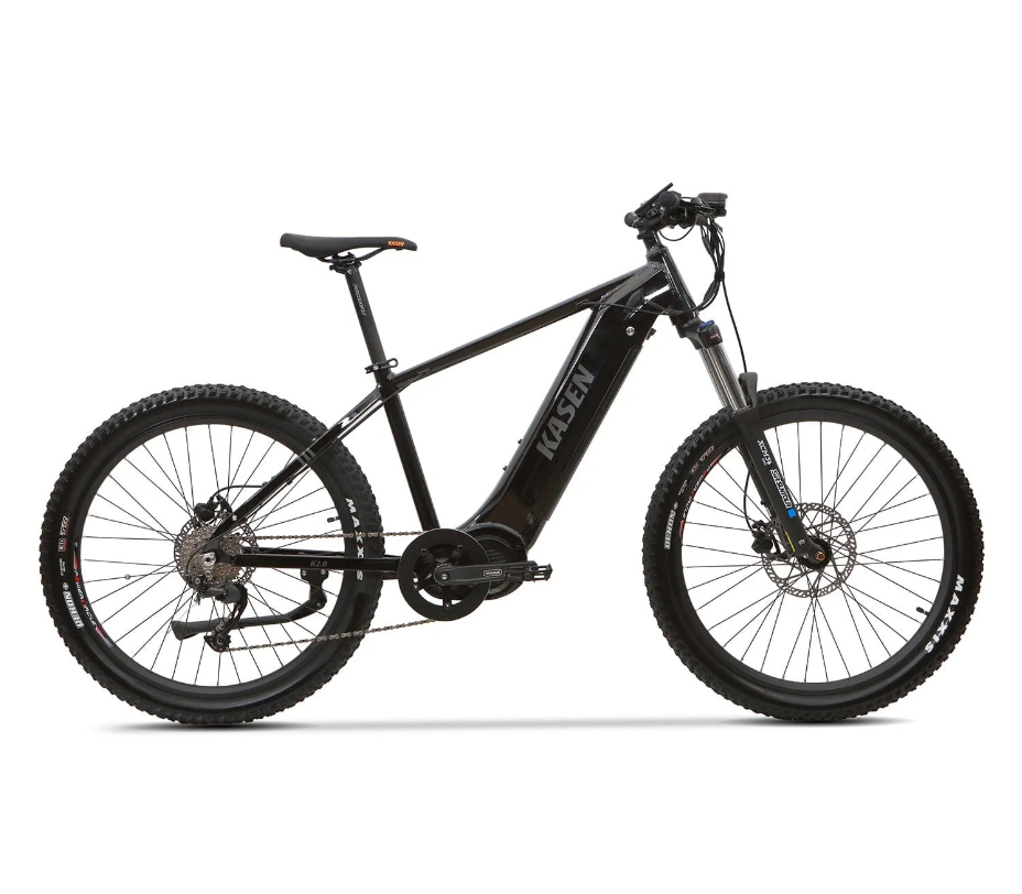 1000w electric bike for sale 2025